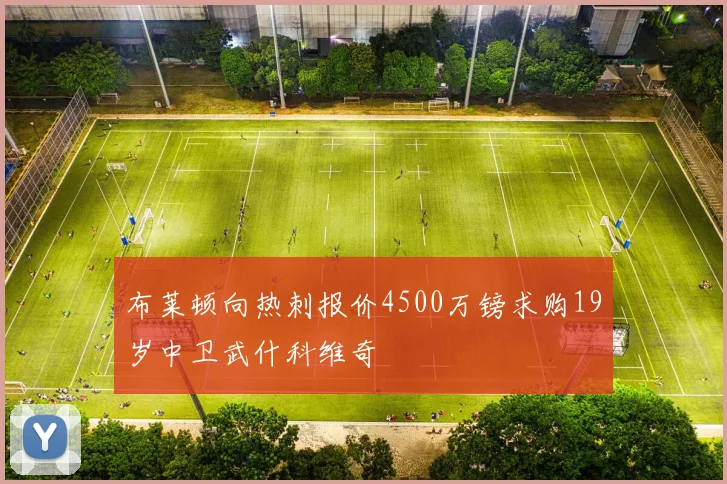 布莱顿向热刺报价4500万镑求购19岁中卫武什科维奇